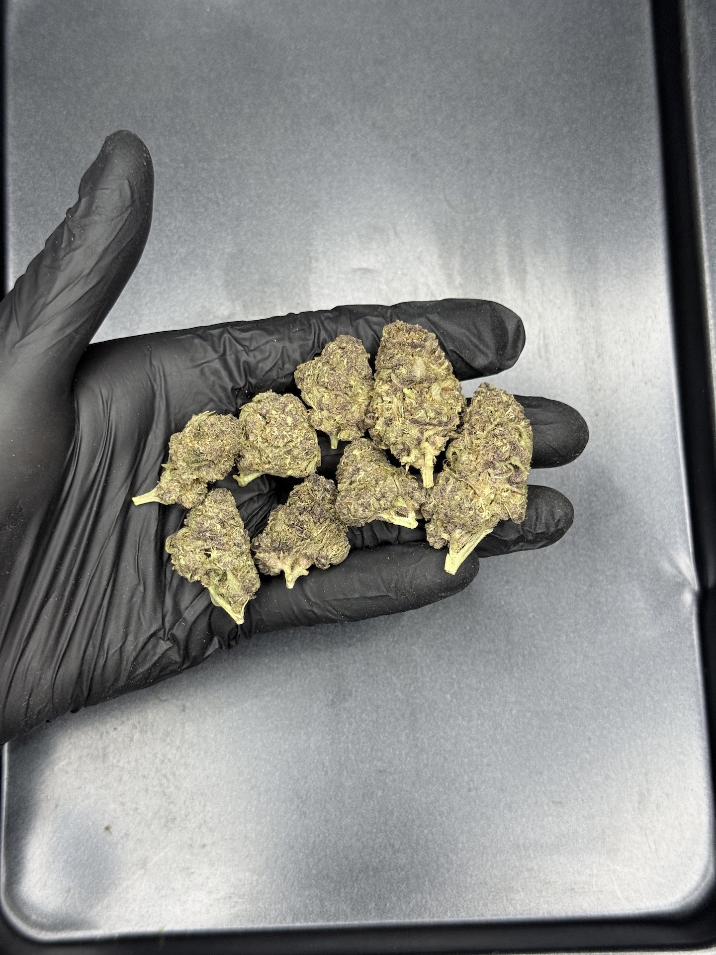 Purple Punch THC 25%+ ðļ - Image 2
