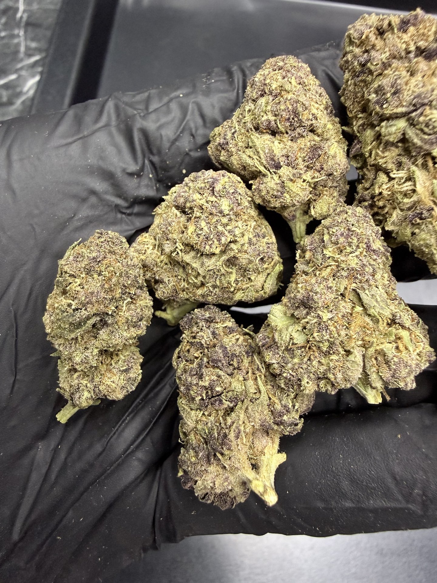 Purple Punch THC 25%+ ðļ - Image 5