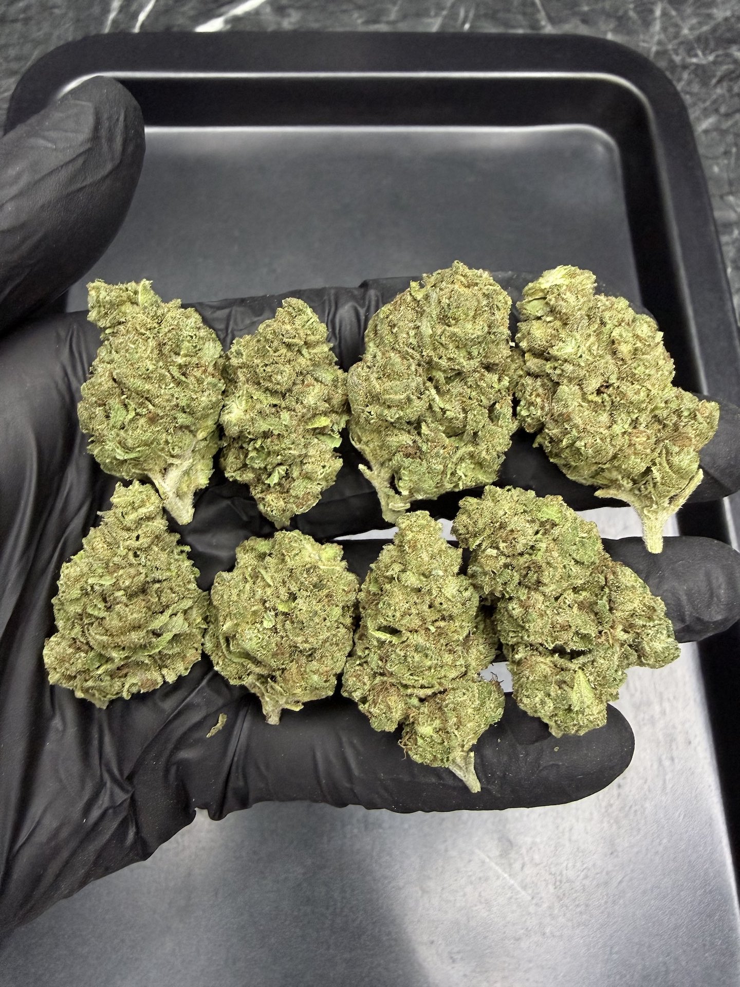 OG Kush THC 25%+ ðļ - Image 3