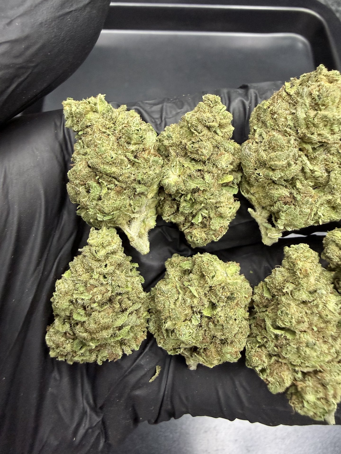OG Kush THC 25%+ ðļ - Image 5