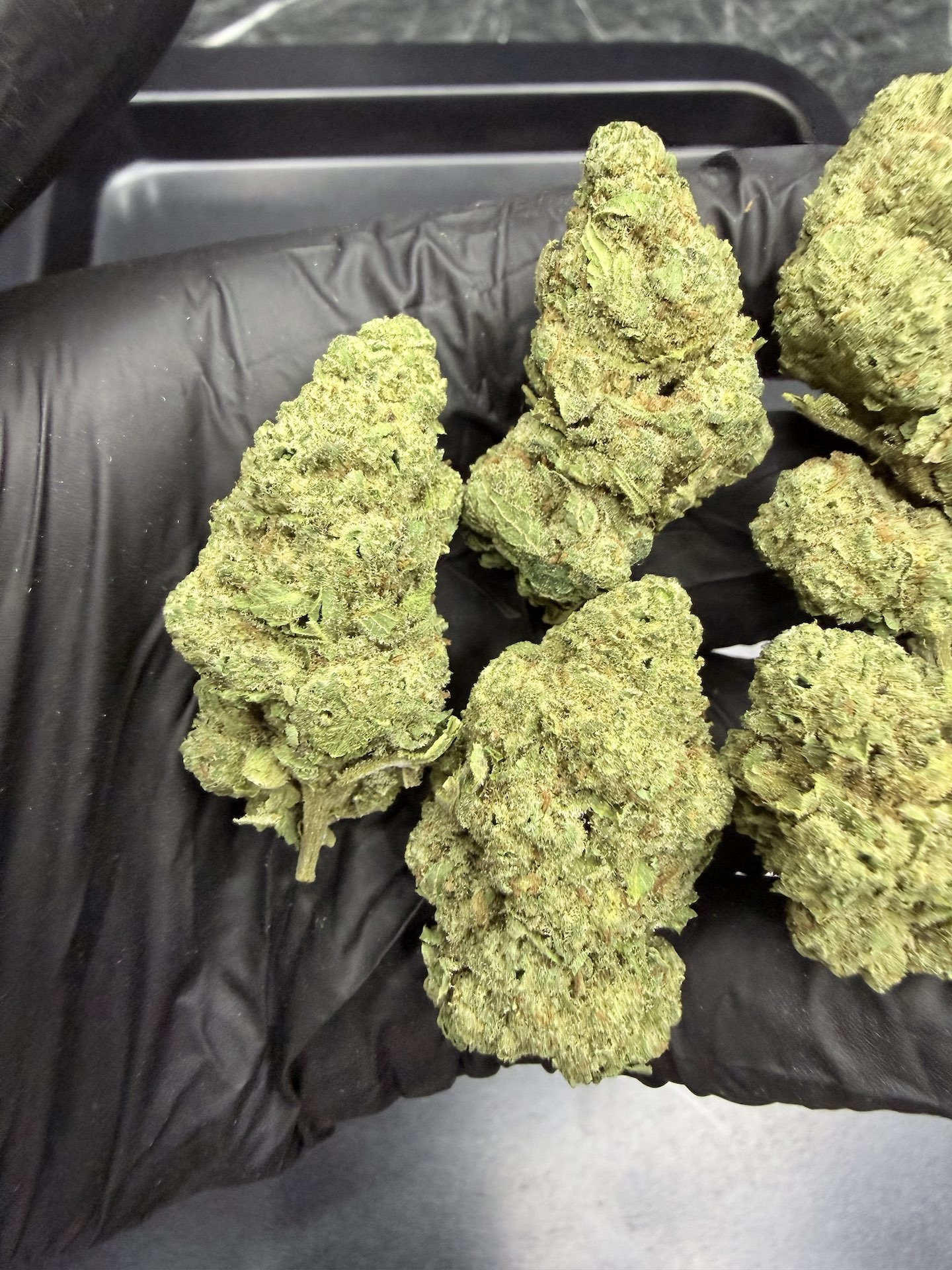 Vanilla Frosting THC 25%+ ðļ - Image 5