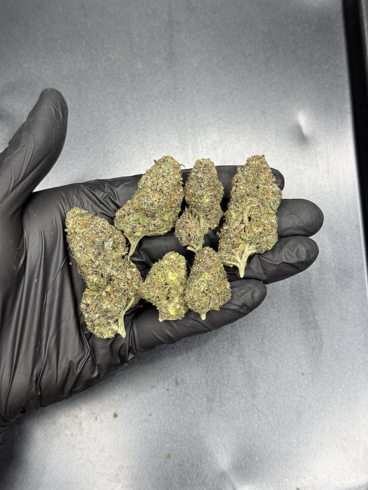 Gelato #41 By. Cookie Fam Genetics THC 25-30% ð - Image 2