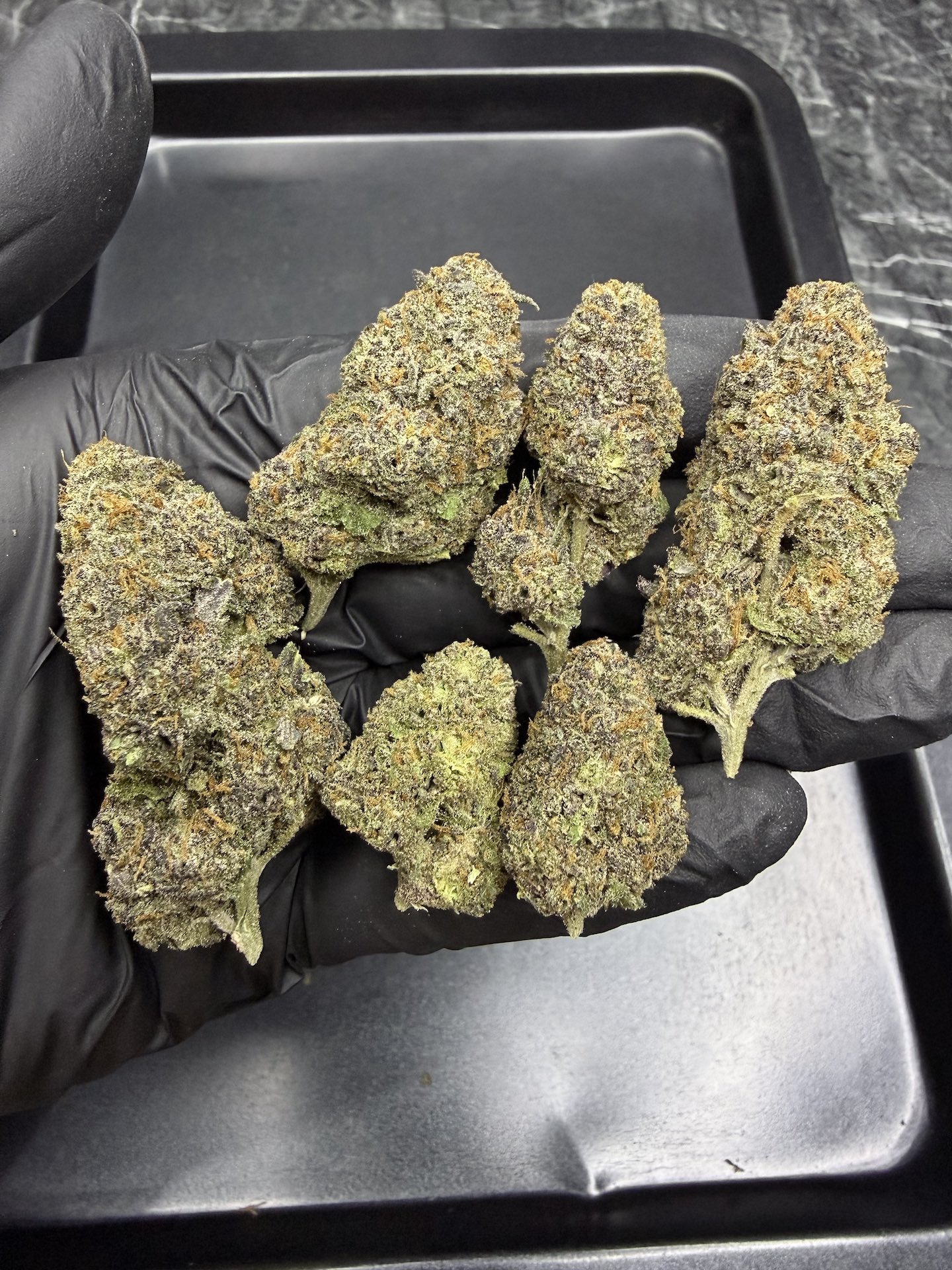 Gelato #41 By. Cookie Fam Genetics THC 25-30% ð - Image 3