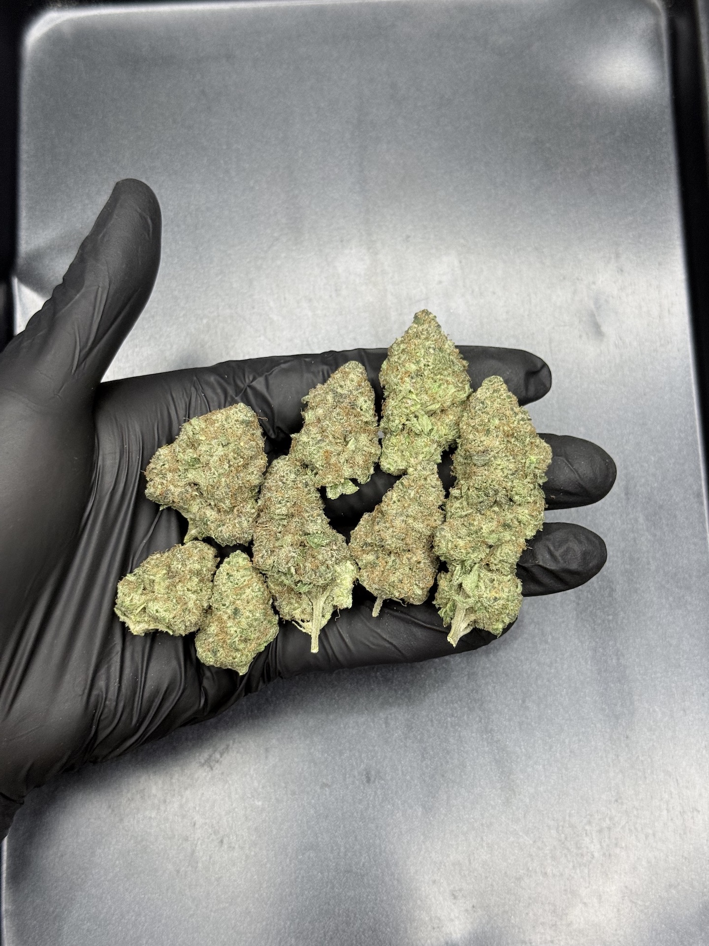 Mandarin Sunset By. Ethos Genetics THC 25-30% ð - Image 2