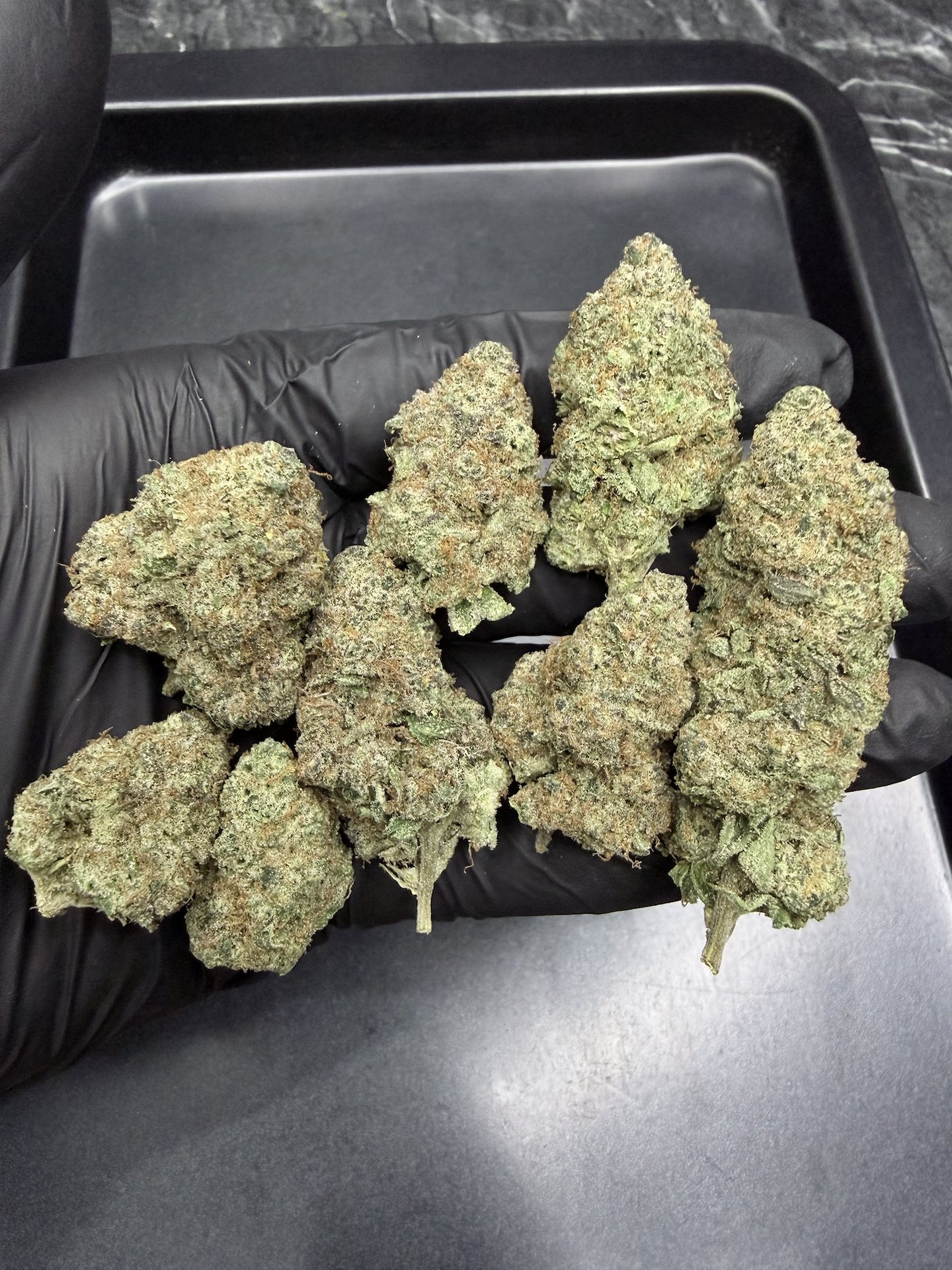 Mandarin Sunset By. Ethos Genetics THC 25-30% ð - Image 3