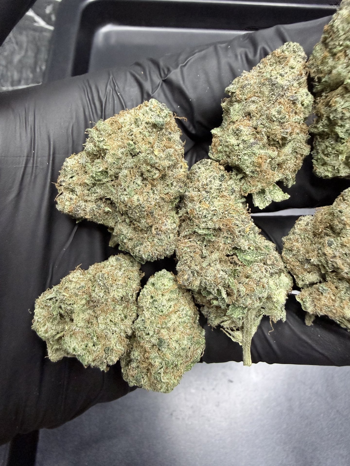 Mandarin Sunset By. Ethos Genetics THC 25-30% ð - Image 5