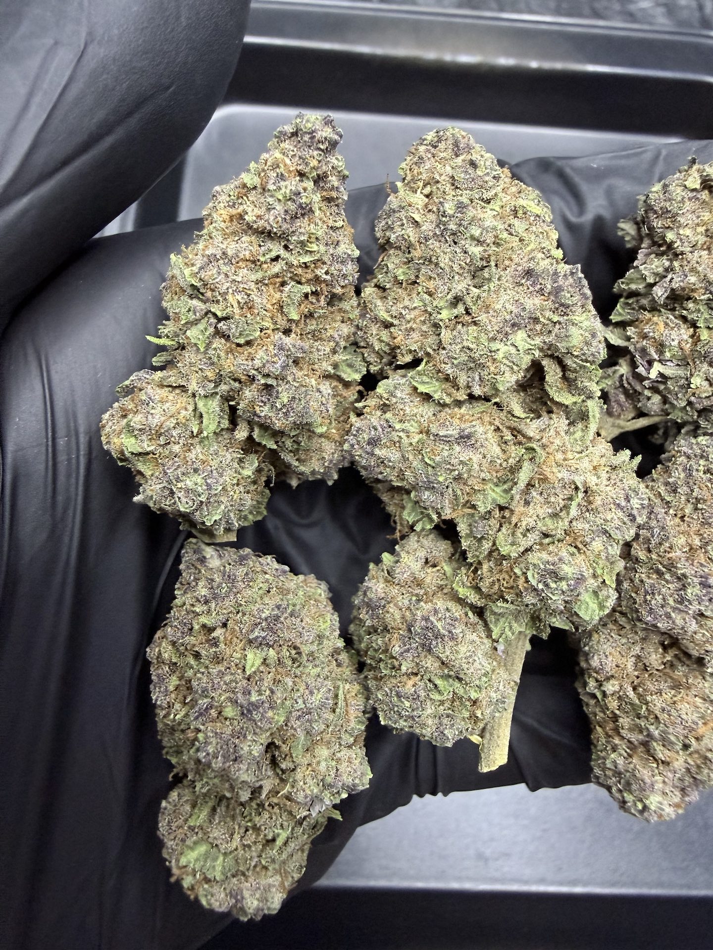 Cherry Bomb THC 25%+ ðļ - Image 5
