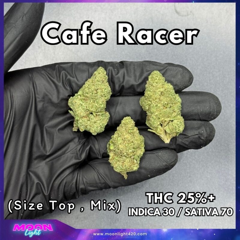 Cafe Racer  THC 25%+ 🛸