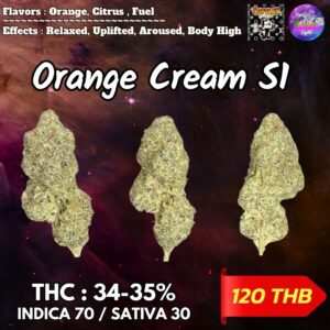 Orange Cream S1 By. Copycat Genetix THC 34-35% 🌕