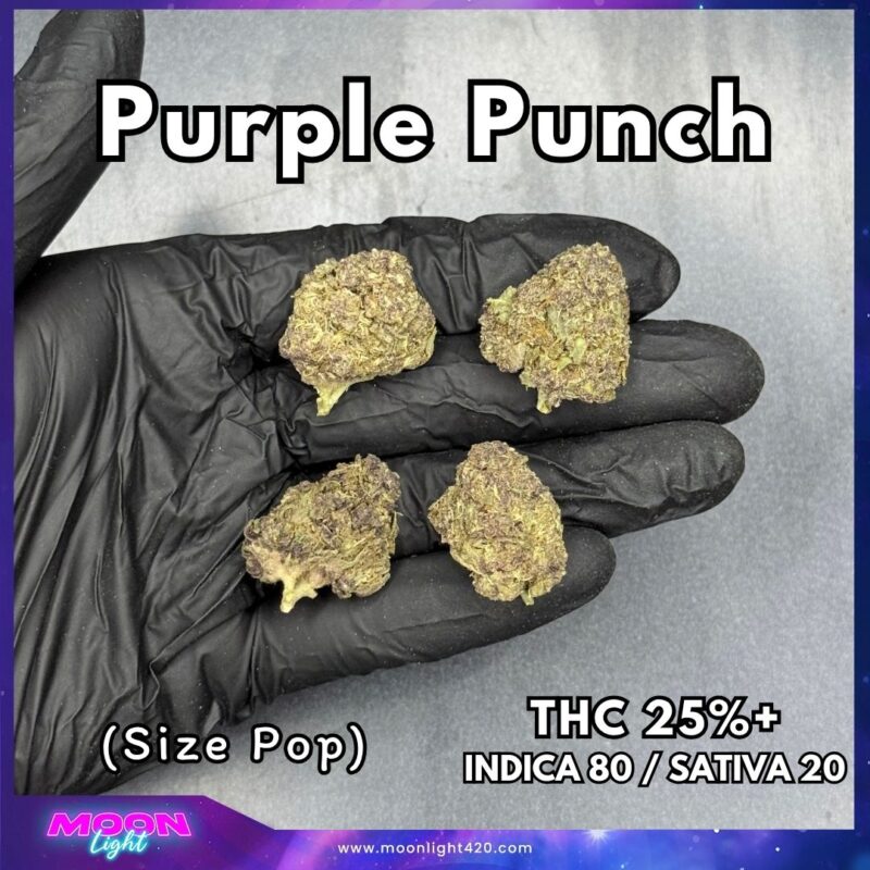 Purple Punch THC 25%+ 🛸