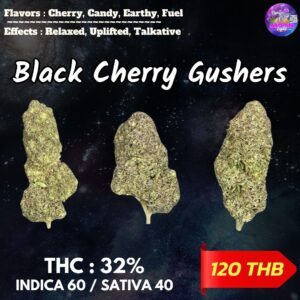 Black Cherry Gushers  By. Barneys Farm THC 32% 🌕