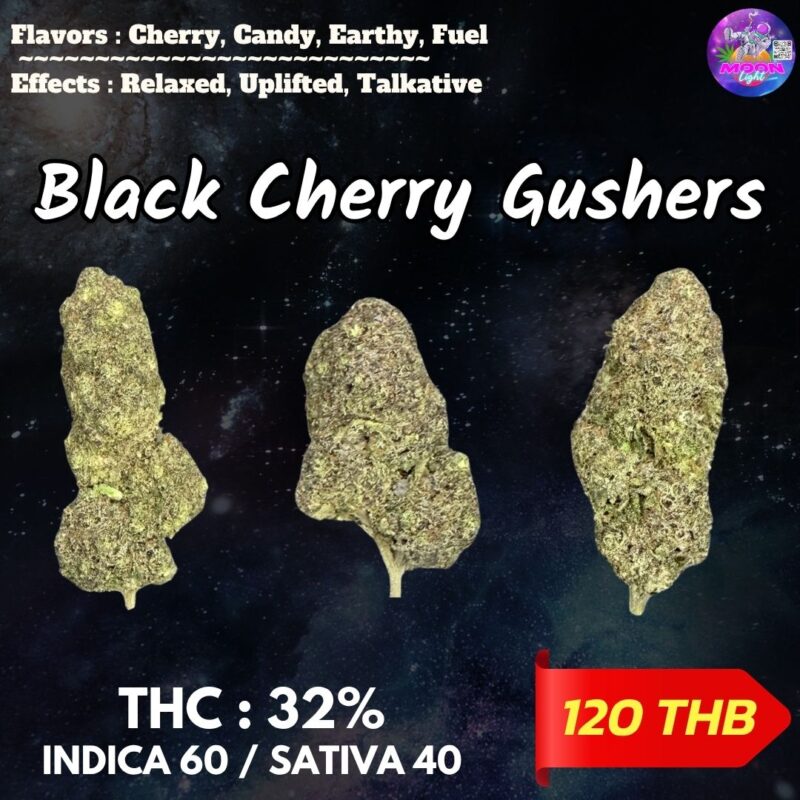 Black Cherry Gushers  By. Barneys Farm THC 32% 🌕