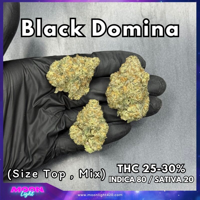 Black Domina By. DNA genetics THC 25-30% 🚀