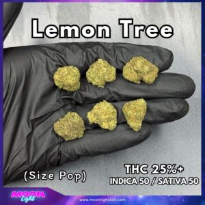 Lemon Tree  THC 25%+ 🛸