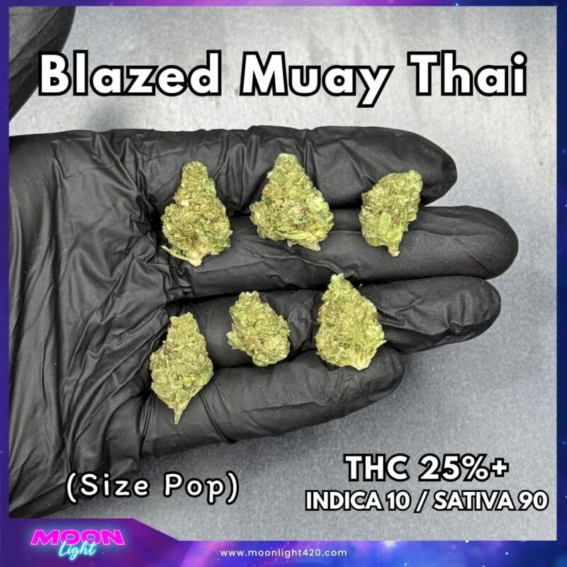Blazed Muay Thai  THC 25%+ 🛸