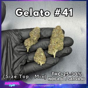 Gelato #41 By. Cookie Fam Genetics THC 25-30% 🚀