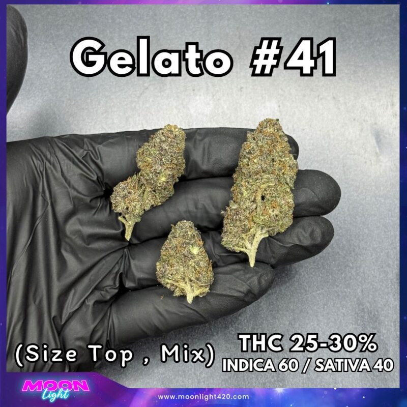 Gelato #41  By. Cookie Fam Genetics THC 25-30% 🚀