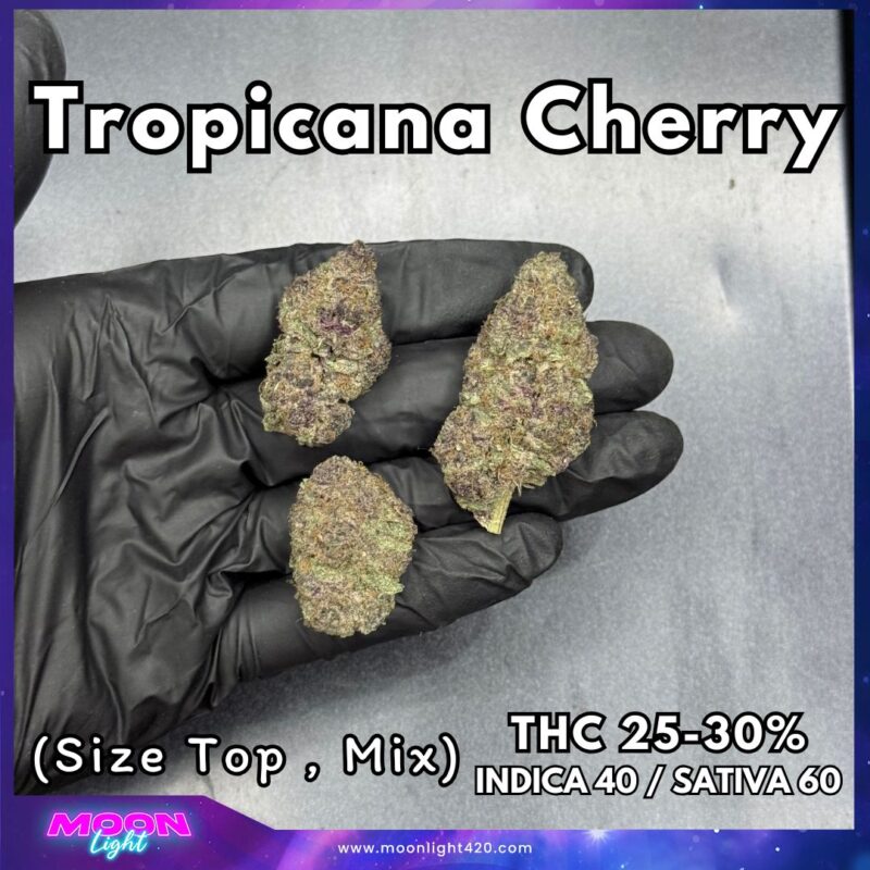 Tropicana Cherry  By. Relentless Genetics THC 25-30% 🚀