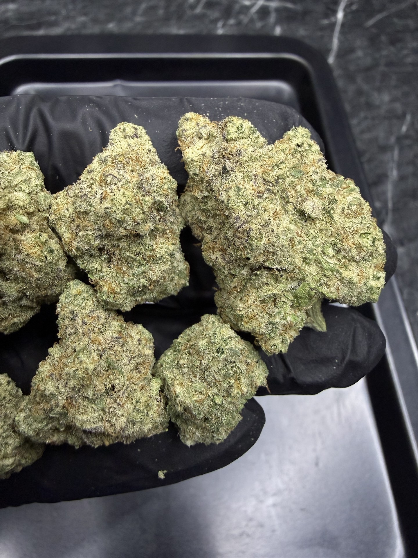 MAC 1 By. Capulator THC 25-30% ð - Image 3