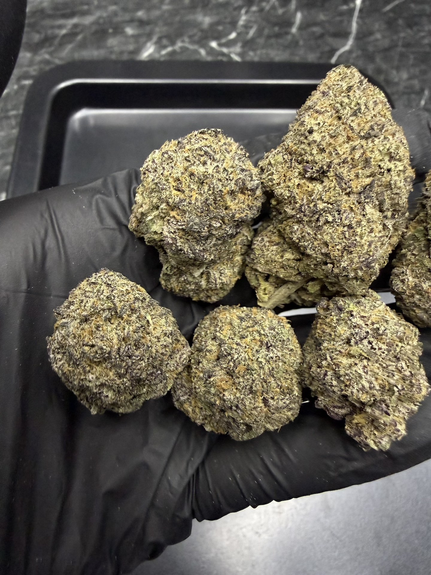Falcon 9 By. Exotic Genetix THC 25-30% - Image 4
