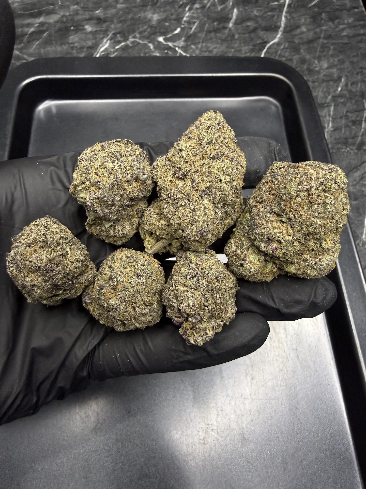 Falcon 9 By. Exotic Genetix THC 25-30% - Image 2