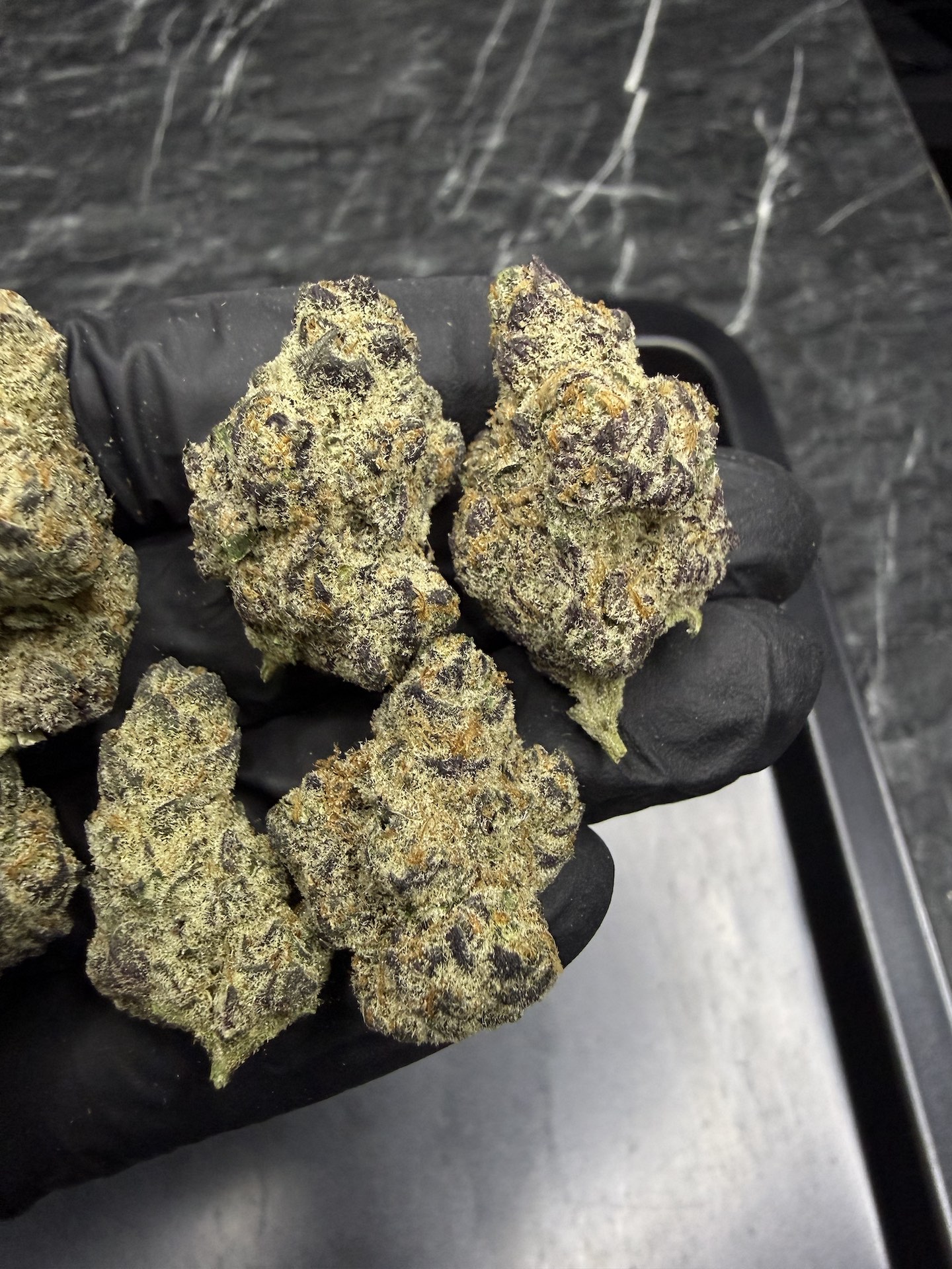 King Bling By. In House Genetics THC 25-30% ð - Image 4
