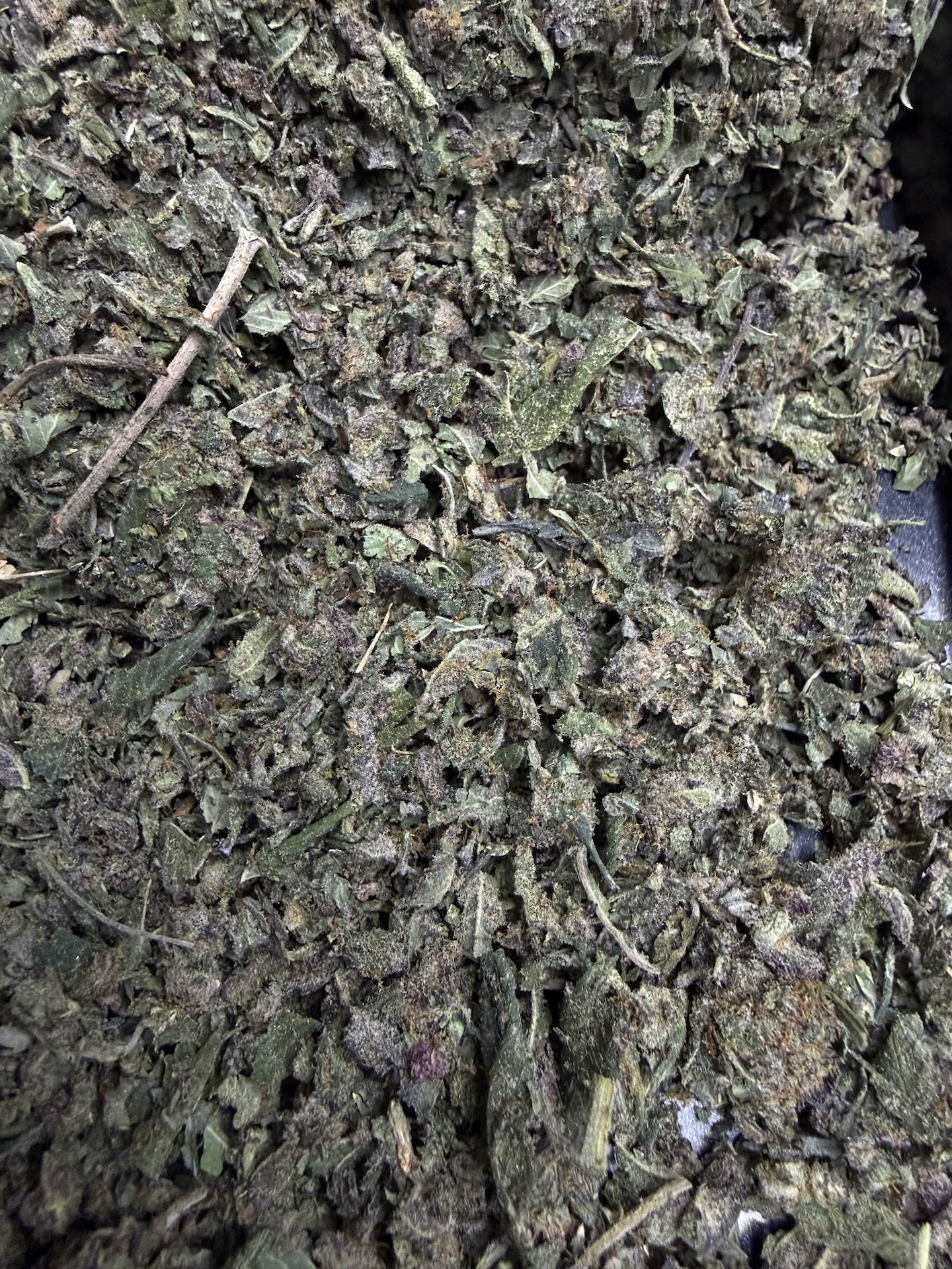 ทริม+เศษดอก Berry Zkittlez THC 25-30% - Image 5