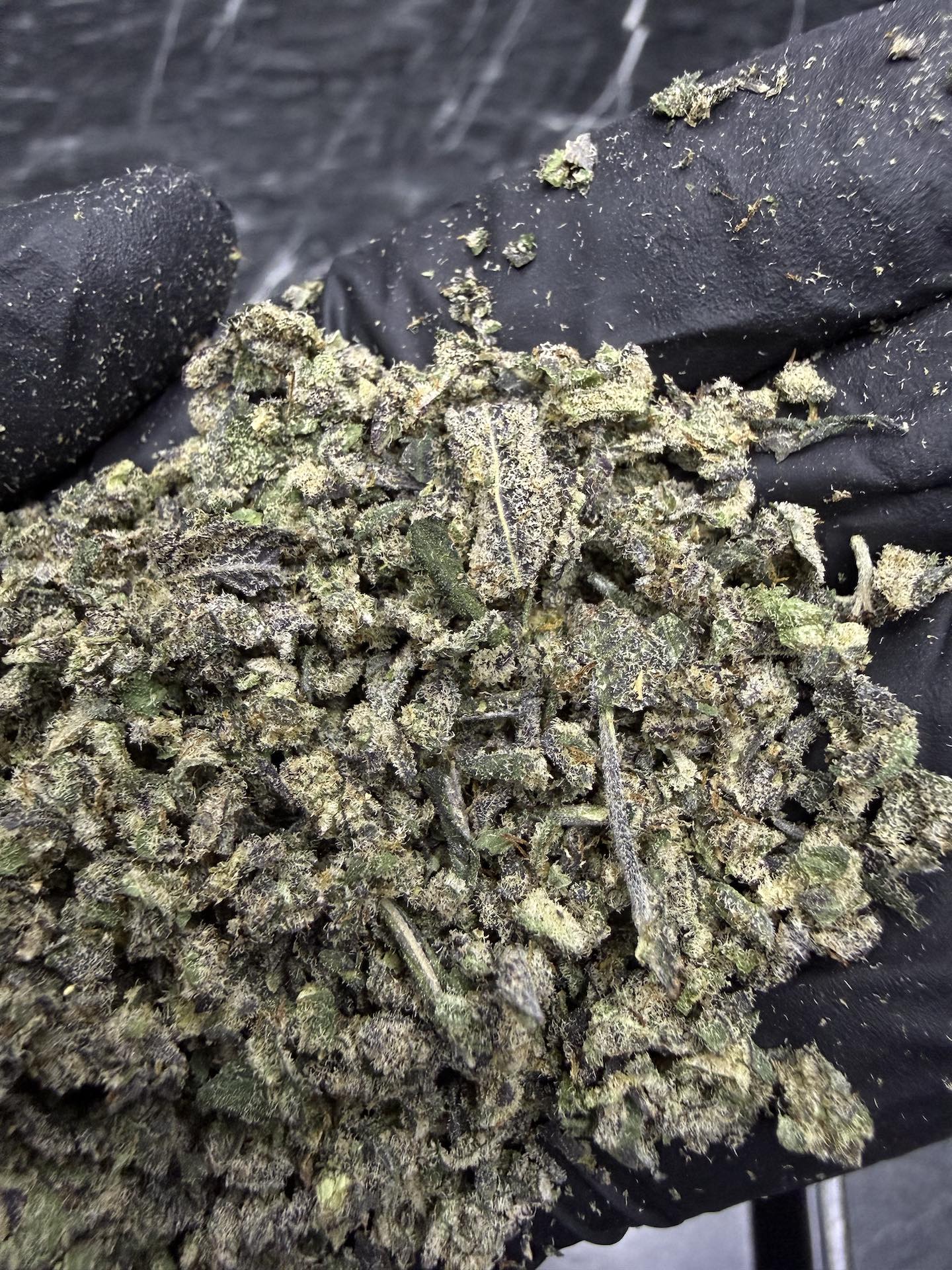 ทริม+ดอกแตก Detroit Cherries By. Tiki Madman THC 25-30% - Image 2