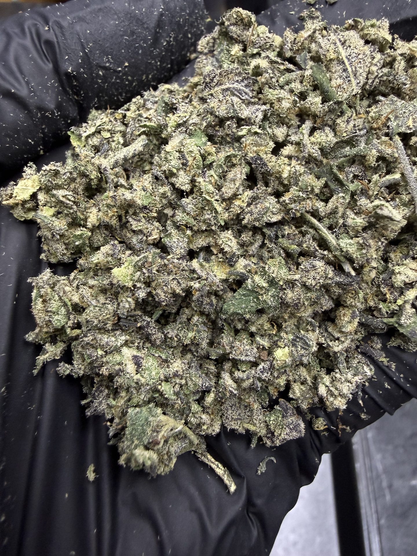 ทริม+ดอกแตก Detroit Cherries By. Tiki Madman THC 25-30% - Image 3