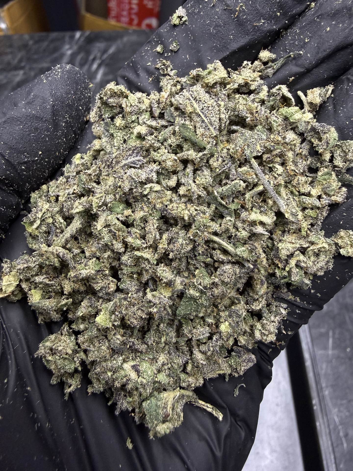 ทริม+ดอกแตก Detroit Cherries By. Tiki Madman THC 25-30% - Image 4