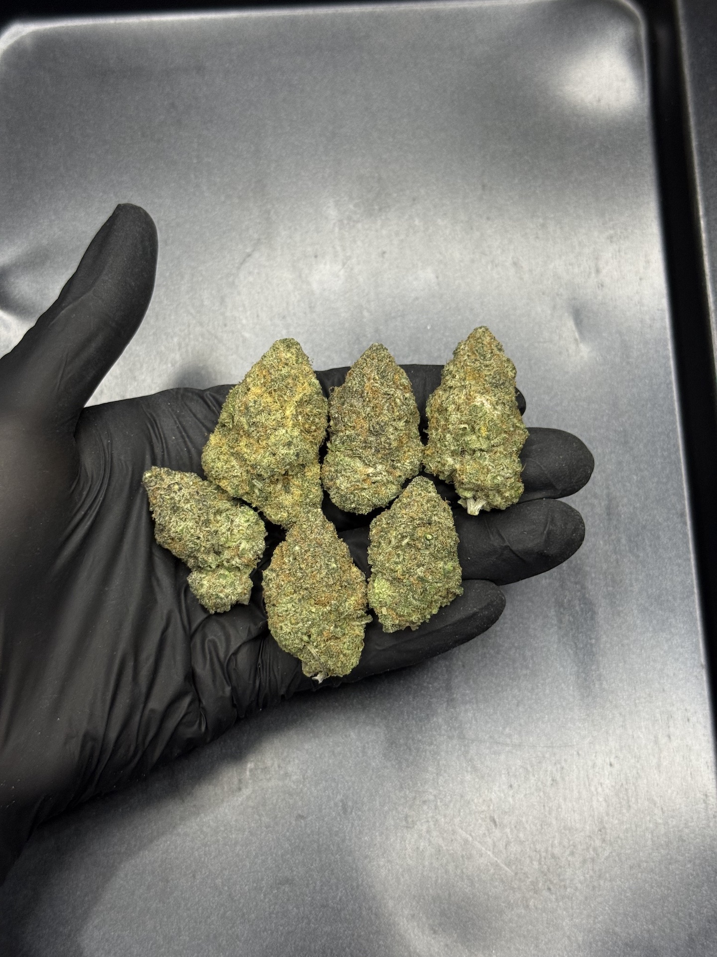 Blue Dream By. Humboldt Seeds THC 25-30% ð - Image 5