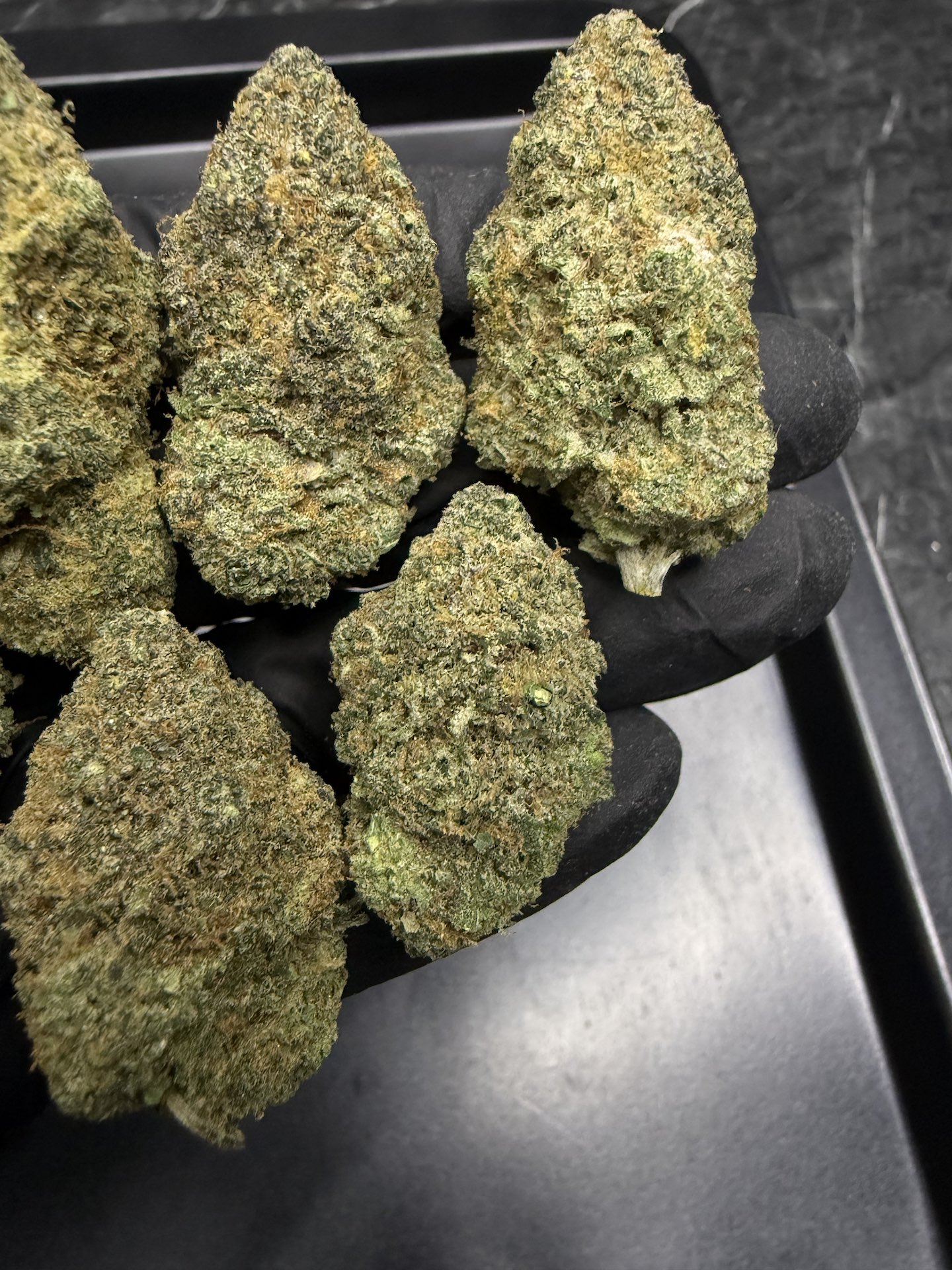 Blue Dream By. Humboldt Seeds THC 25-30% ð - Image 4
