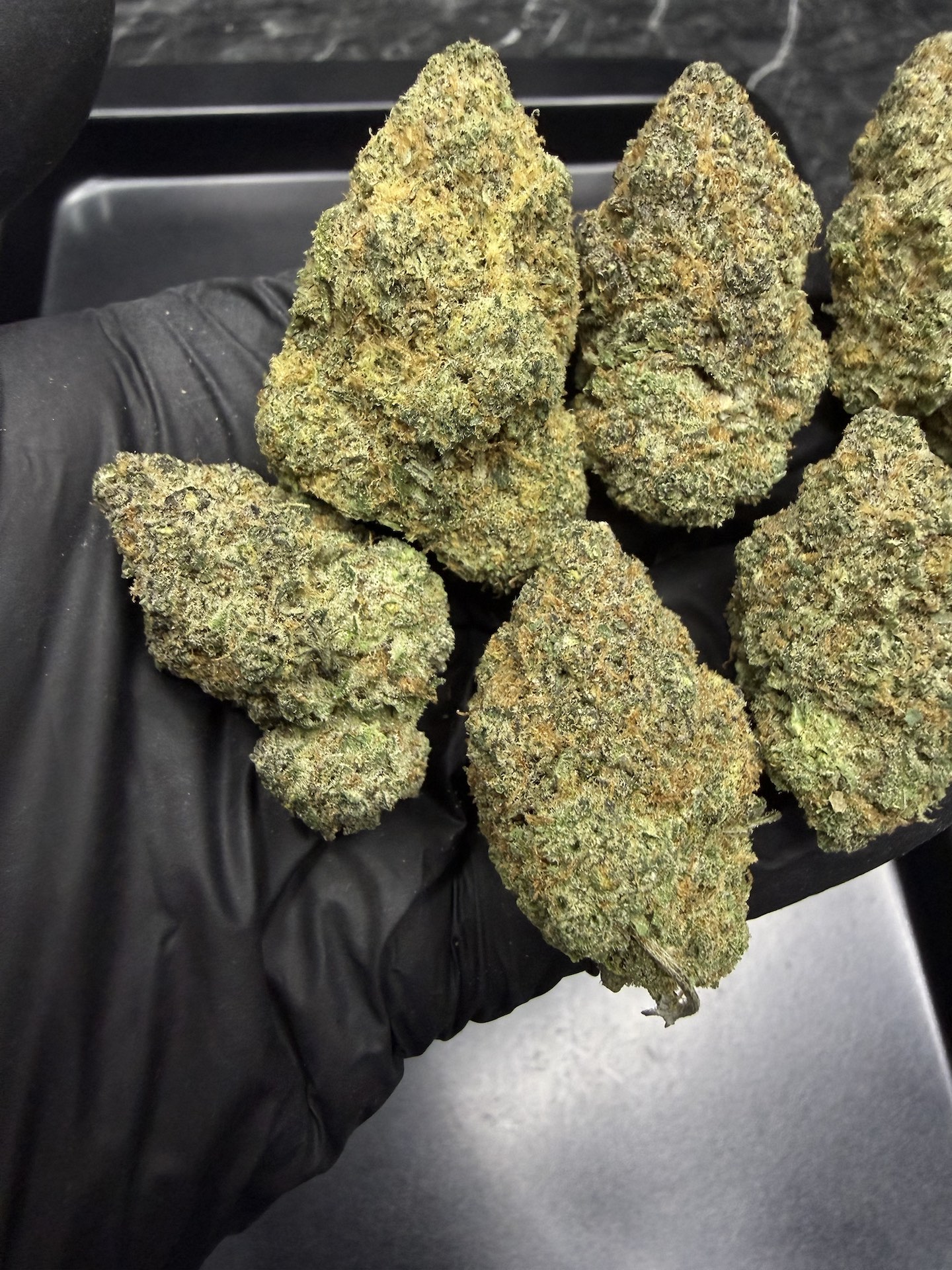 Blue Dream By. Humboldt Seeds THC 25-30% ð - Image 3