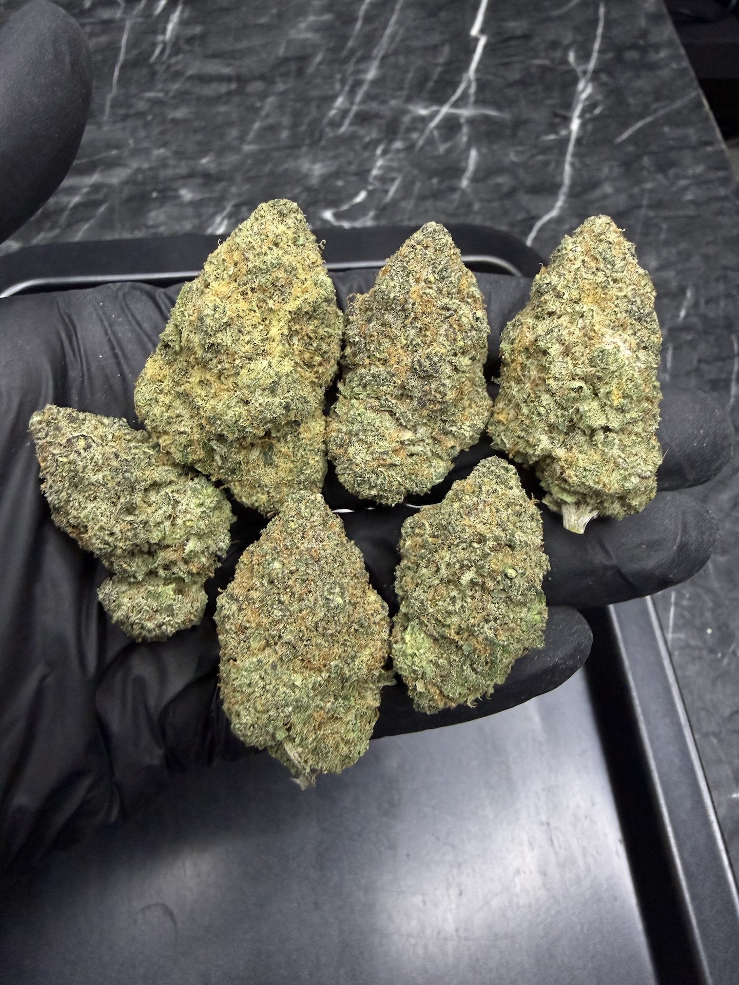 Blue Dream By. Humboldt Seeds THC 25-30% ð - Image 2