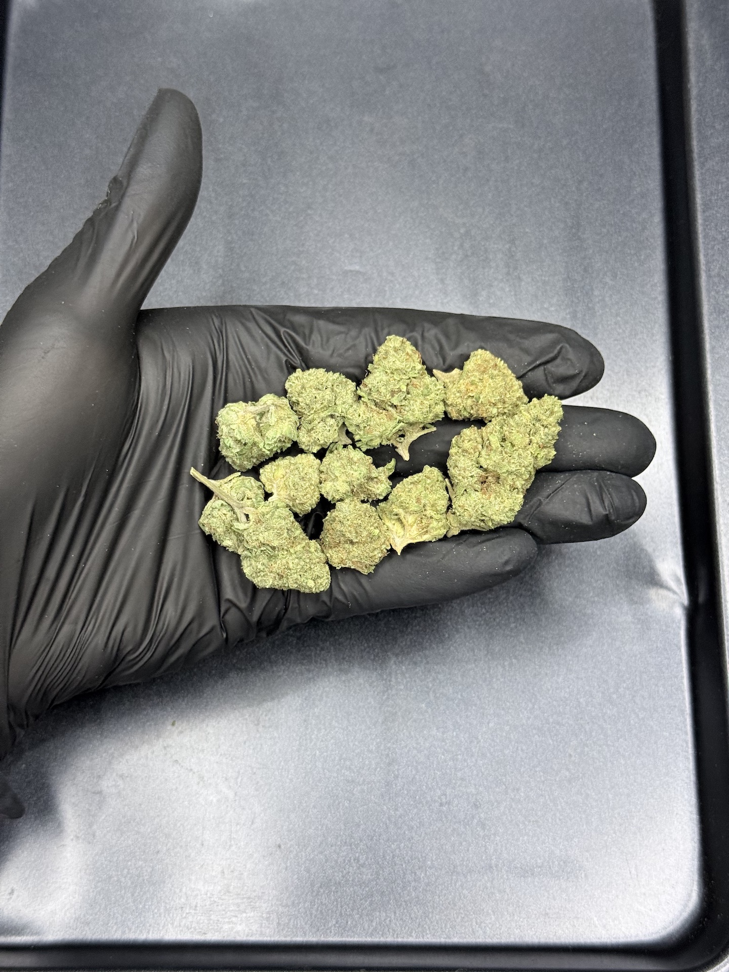Orange Cane THC 25%+ ðļ - Image 5