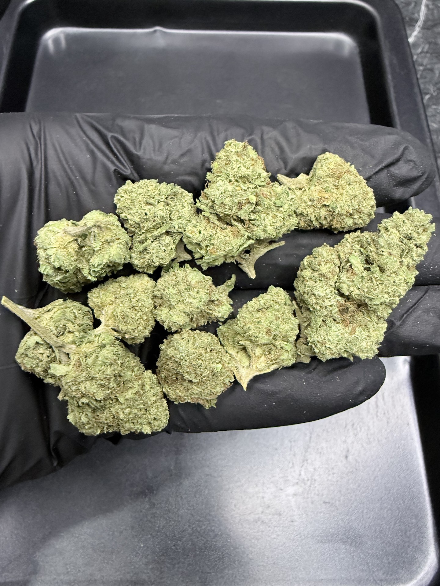 Orange Cane THC 25%+ ðļ - Image 2