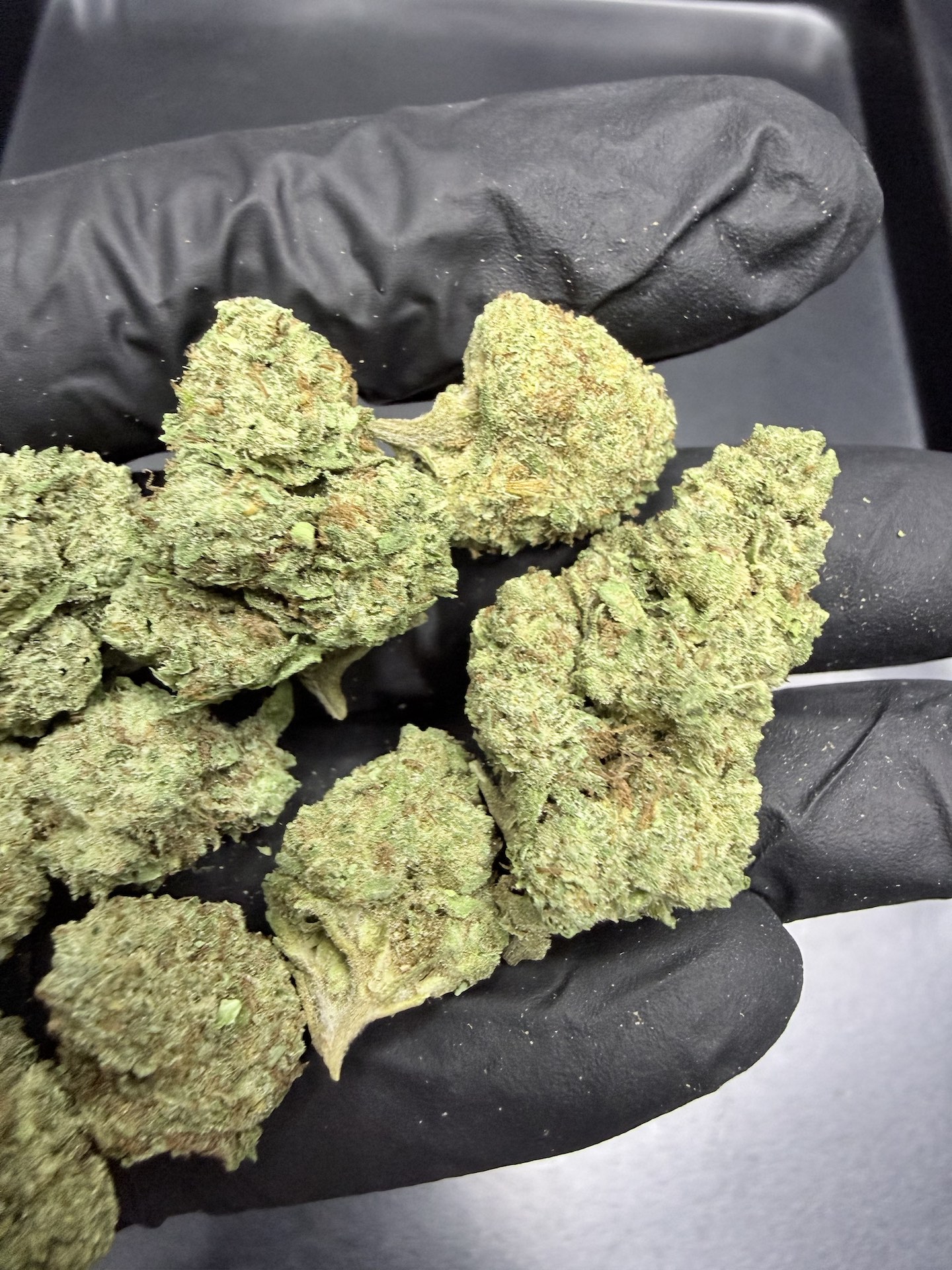Orange Cane THC 25%+ ðļ - Image 3