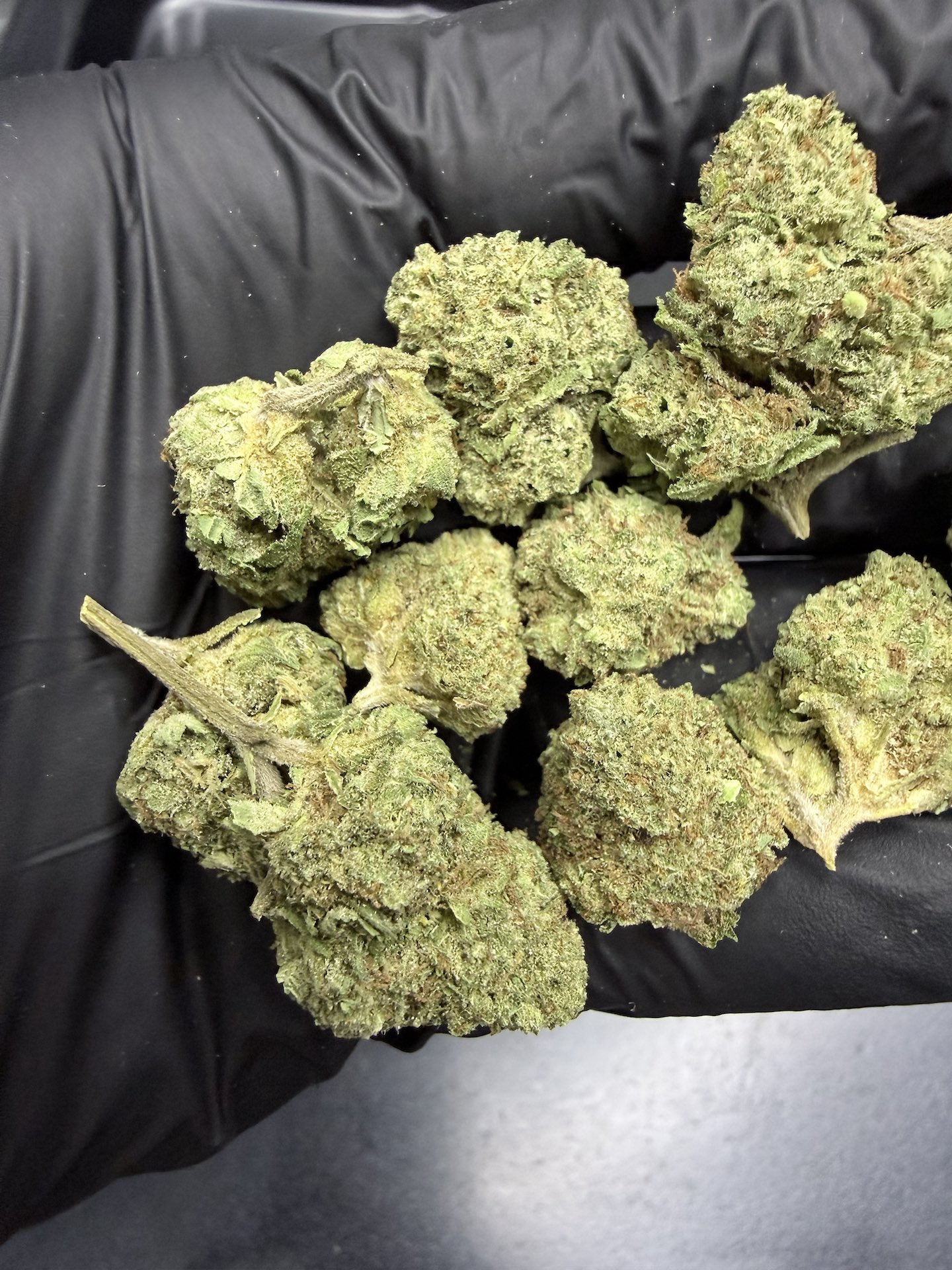 Orange Cane THC 25%+ ðļ - Image 4