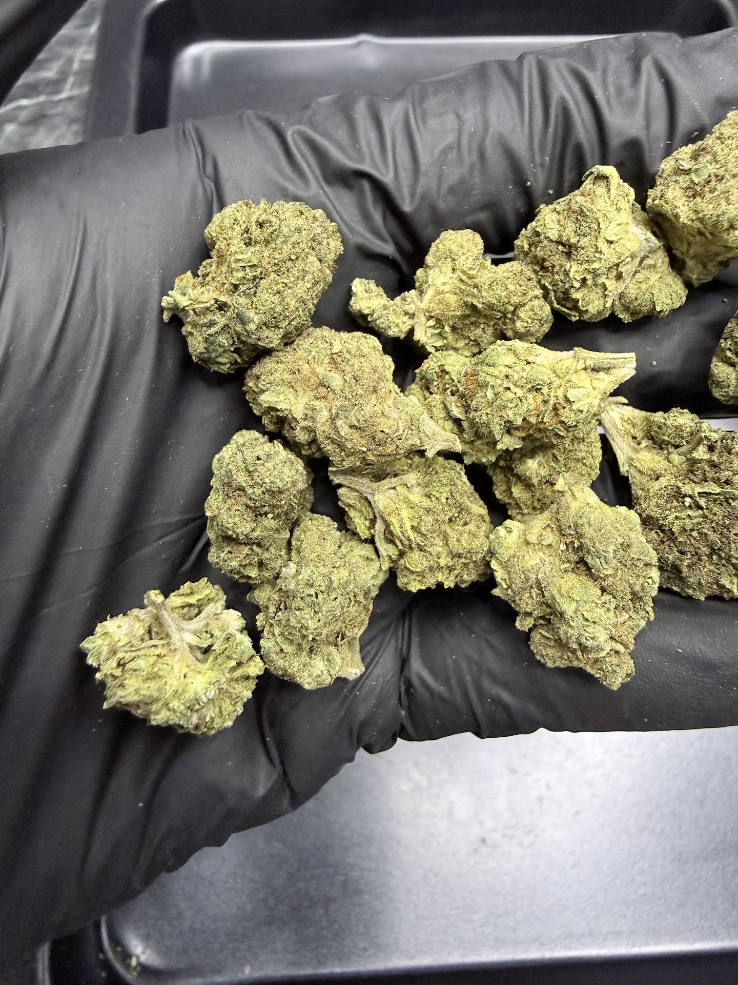 Citrus Berry THC 25%+ ðļ - Image 4