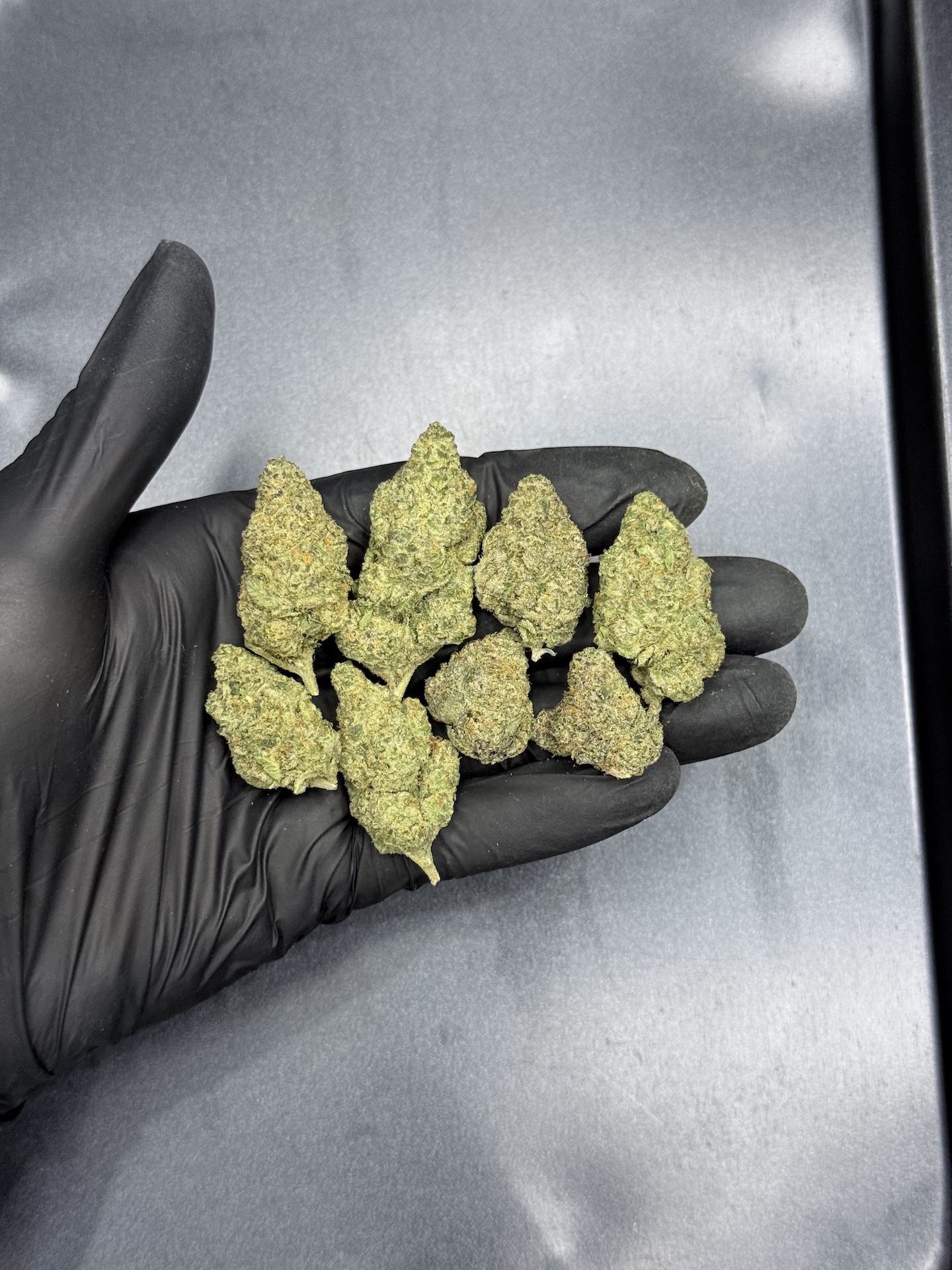 Miami Mami By. Solfire Gardens THC 25-30% ð - Image 5