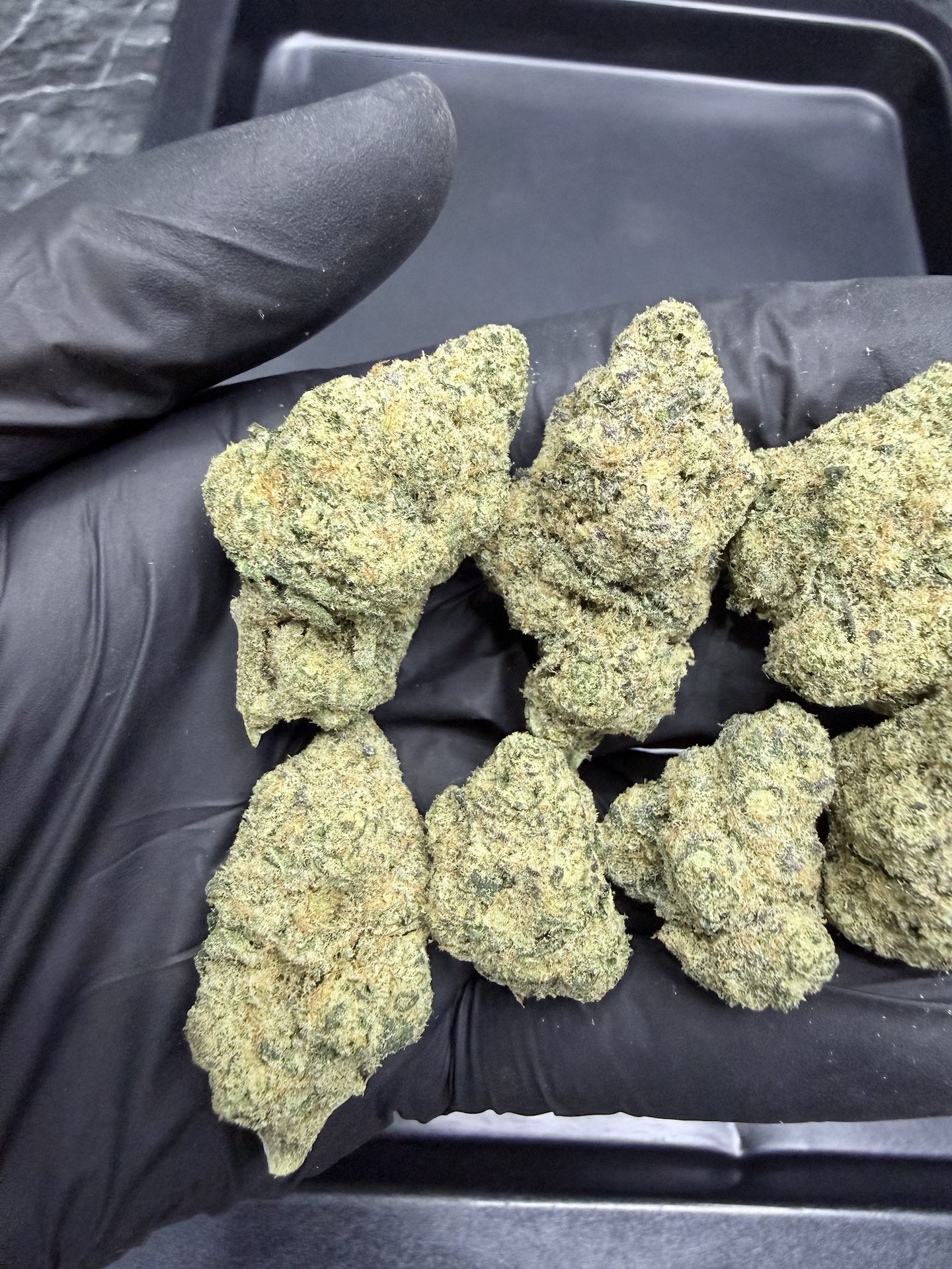 Sugar Cane By. In House Genetics THC 25-30% ð - Image 4