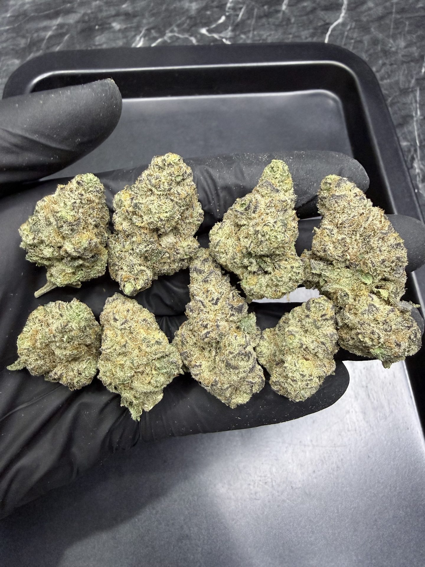 Honeycomb Pave By. Compound Genetics THC 25-30% ð - Image 2