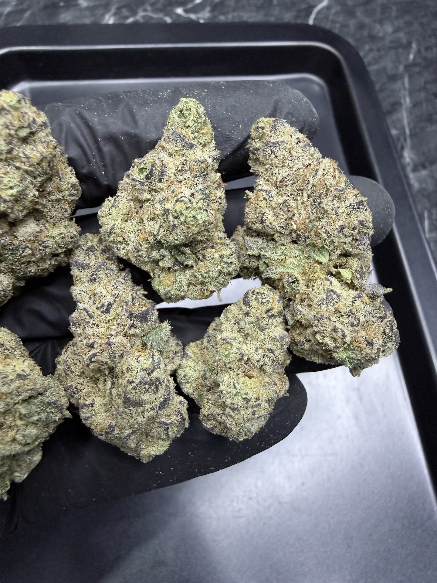 Honeycomb Pave By. Compound Genetics THC 25-30% ð - Image 3
