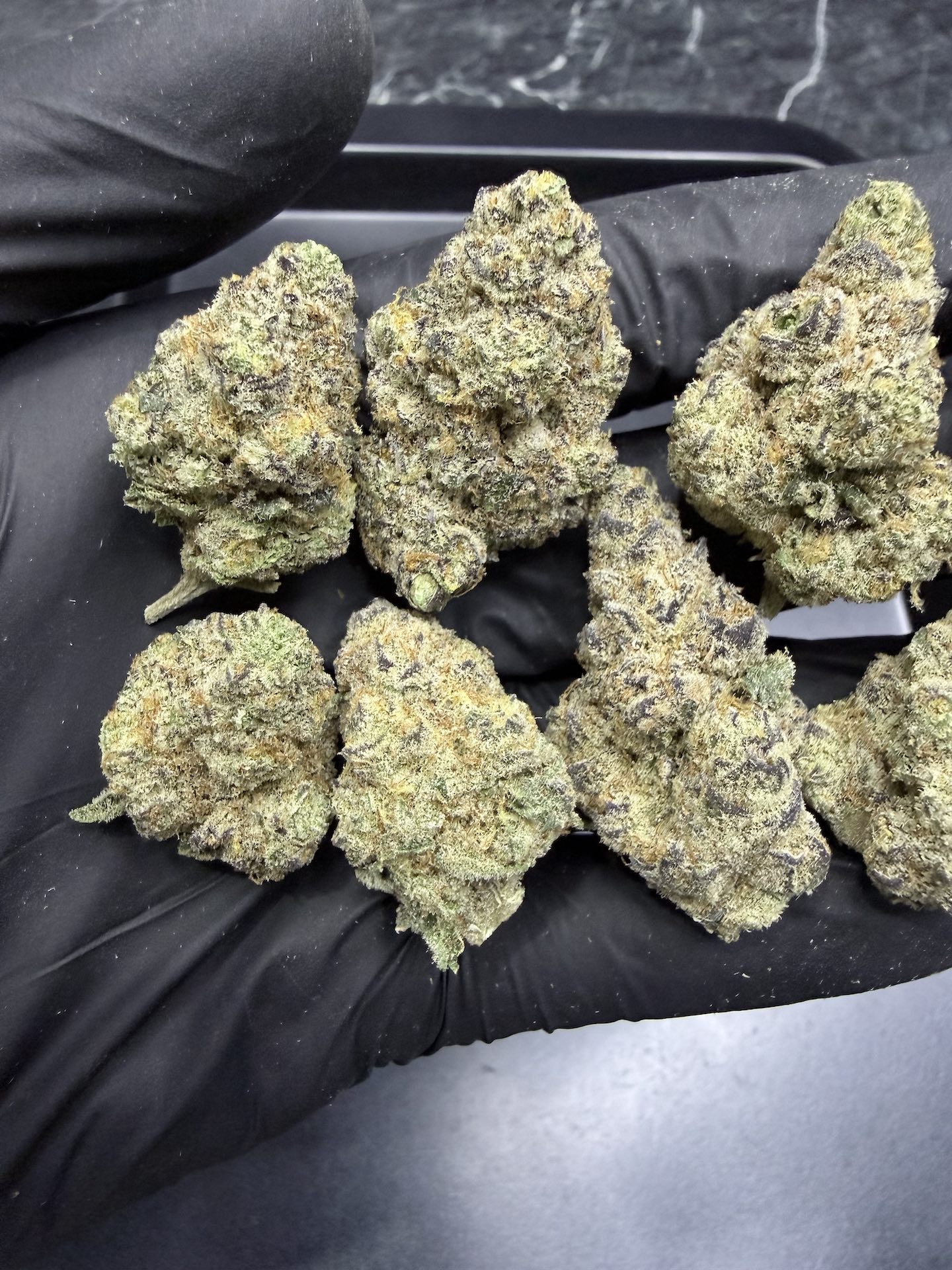 Honeycomb Pave By. Compound Genetics THC 25-30% ð - Image 4