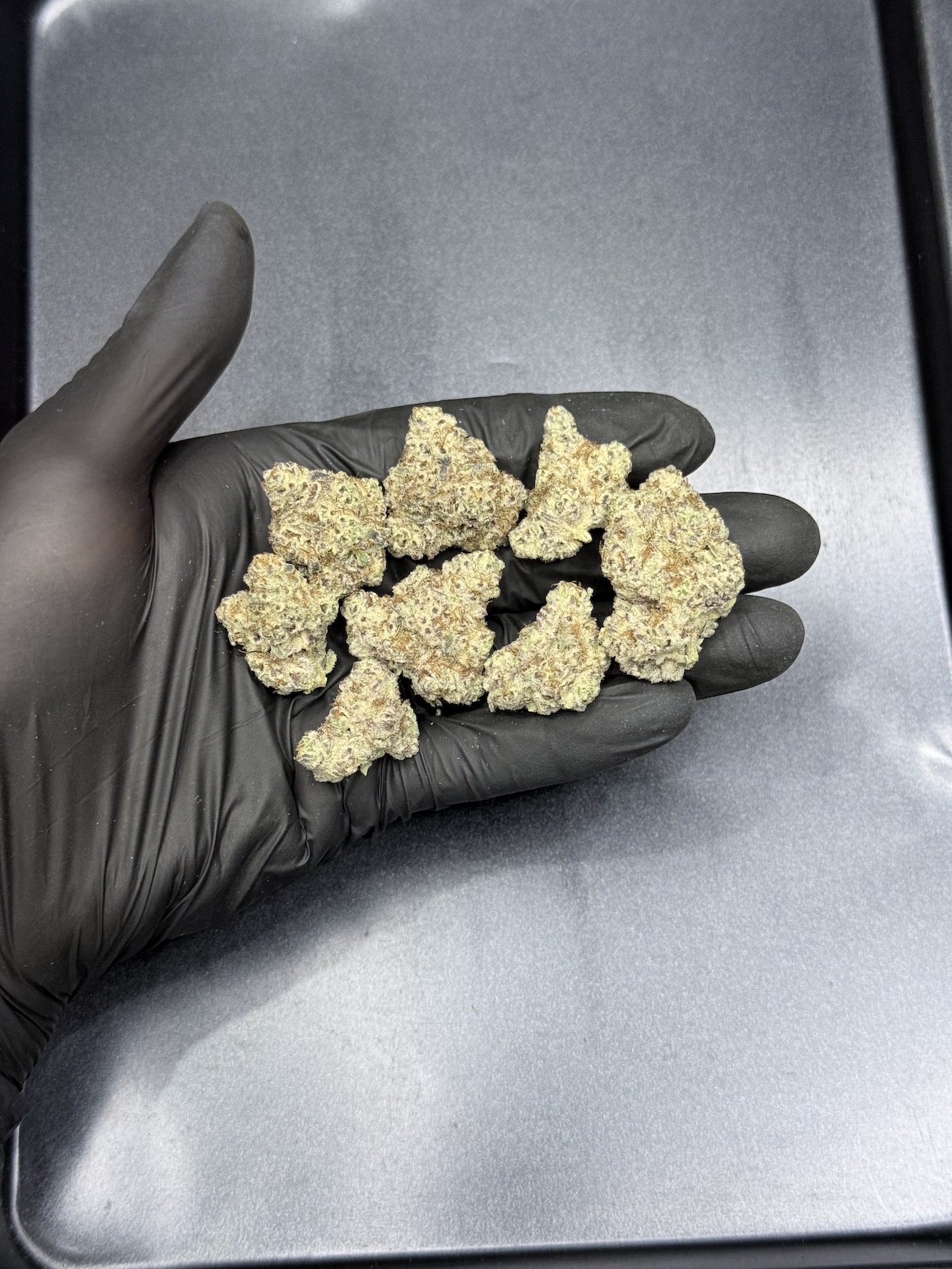 Cookie Monster By. Humboldt Seed THC 25-30% ð - Image 5
