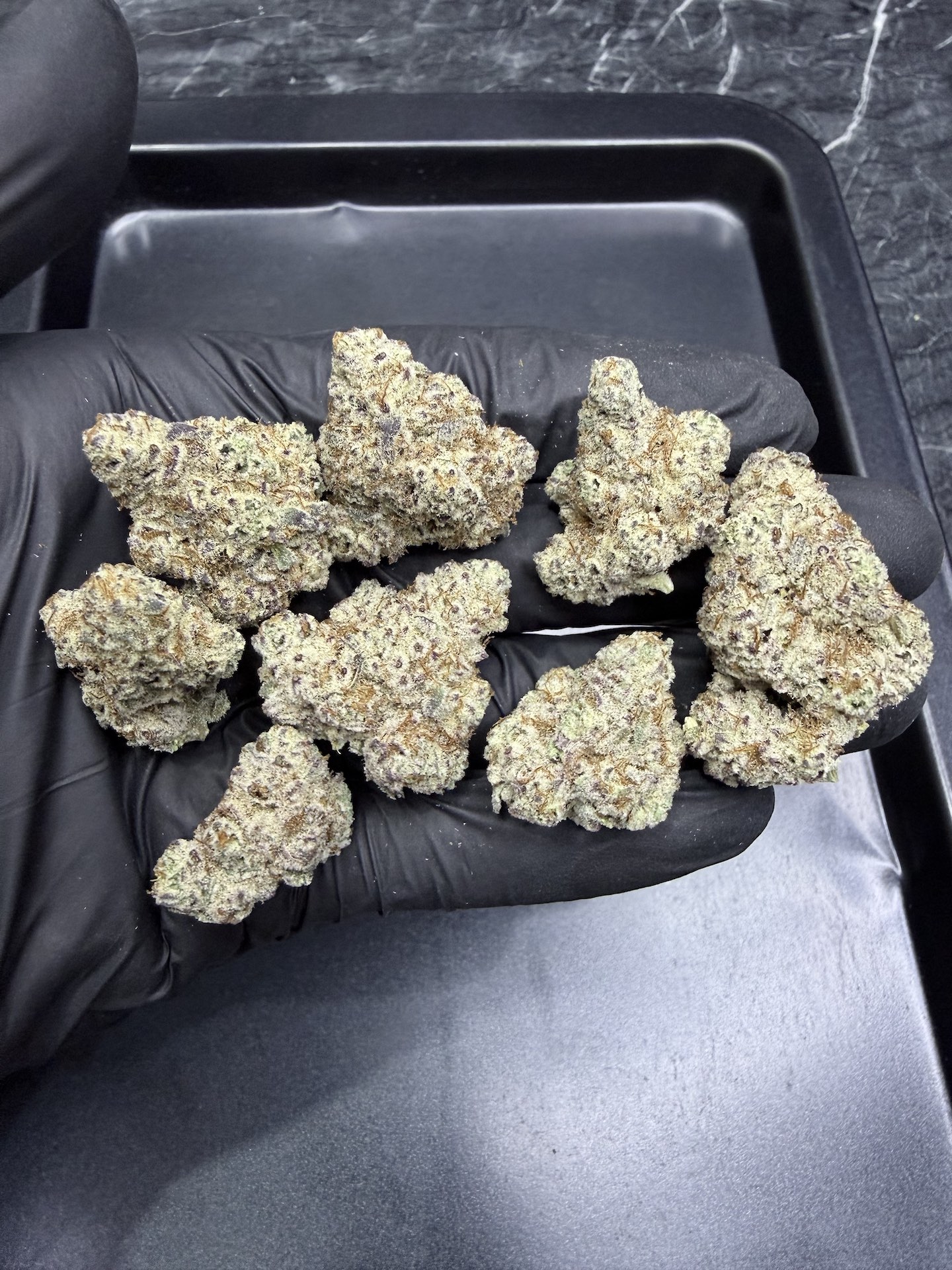 Cookie Monster By. Humboldt Seed THC 25-30% ð - Image 4