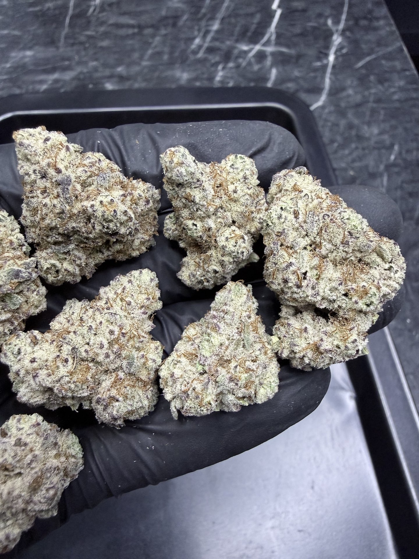 Cookie Monster By. Humboldt Seed THC 25-30% ð - Image 3