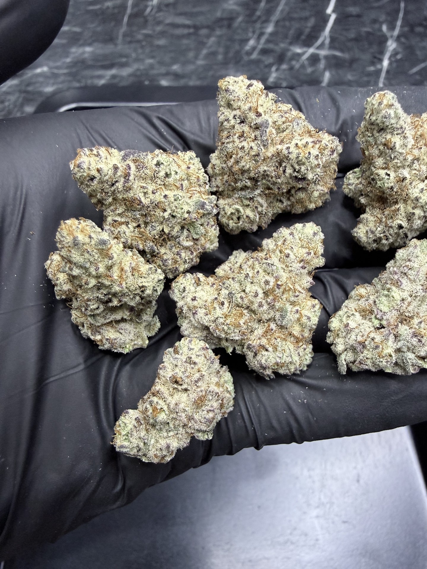 Cookie Monster By. Humboldt Seed THC 25-30% ð - Image 2