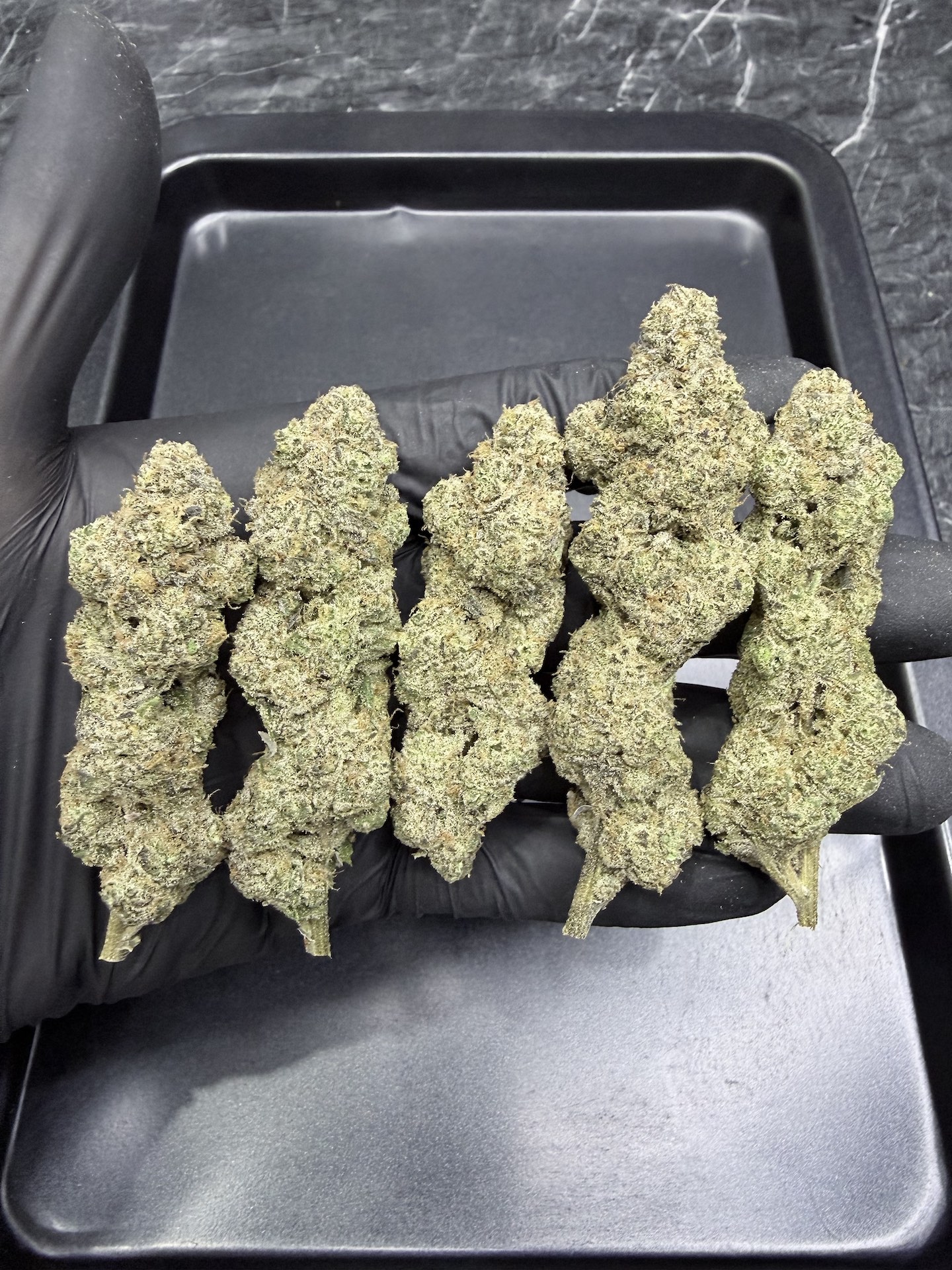 Banana Milk S1 By. Copycat Genetix THC 35-36% ð - Image 2