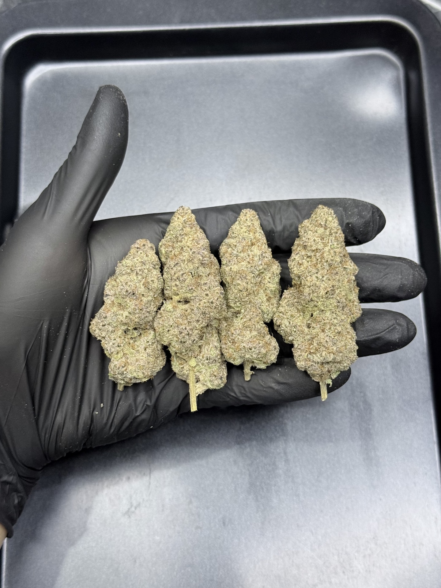 Devil Cherries By. Tiki Madman THC 25-32% ð - Image 5